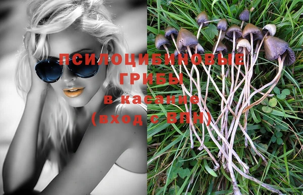 ГАЛЛЮЦИНОГЕННЫЕ ГРИБЫ Алексин