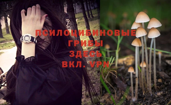 спайс Алексеевка