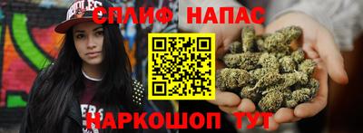 СК Севастополь