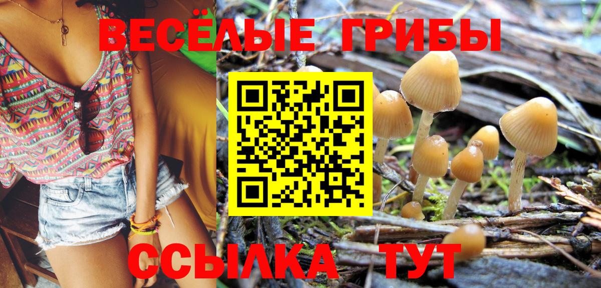 Тавда  Галлюциногенные грибы мицелий  Псилоцибиновые грибы прущие грибы  Вход с VPN 
