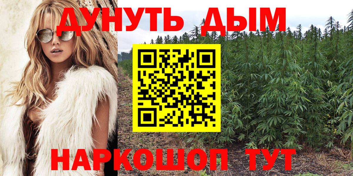 Конопля конопля Тавда